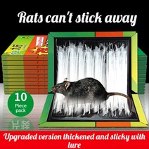 마우스 스티커 데칼 초강력 트랩 플러스 사이즈 두꺼운 킬링 쥐 독 접착제 잡기 신