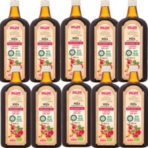 1979폴스카로자 유기농 로즈힙 퓨레 주스 원액 500ml, 10개