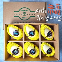 23년 추석 명절 선물세트, 망고 6과 세트
