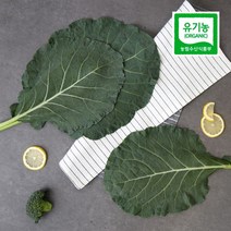 가정용 친환경 유기농 케일 즙용 1kg, 없음