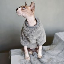 고양이 실내복 조끼 나시 순면 옷 신발 올인원 할로윈 duomasumi 따뜻한 애완, L