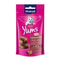 비타크래프트 캣얌 40g 4종 중 1선택 고양이 간식, 1개, 리버소세지