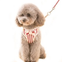 예쁜 비비드 고양이 강아지 목줄 가슴줄 하네스, F타입-M