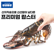 고씨네 활랍스타 600g 랍스터 자숙랍스터 킹크랩, 단품