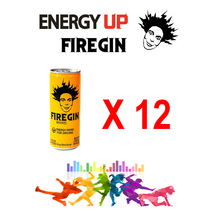 파이어진 에너지드링크 250ml, 12캔