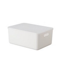 피피에프 더 컬러 리빙박스 다용도 수납 정리 팬트리 손잡이형02 16L, 화이트