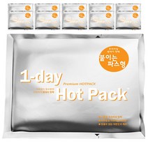 [1일 1핫팩] 토야마 코리아 원데이 프리미엄 핫팩 겨울철 발열 용품, 파스형 (붙이는용) 50g*10개