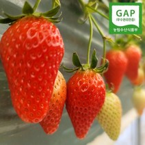 논산 킹스베리 대왕 생딸기 산지직송 GAP 딸기 설향 고당도 왕딸기, 1. 특 600g(35g~45g)