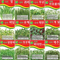 [씨앗모음] 대용량 새싹씨앗 500g 1kg, 20.새싹케일 1kg