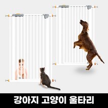 [고양이현관안전문] 틸리전트 강아지 고양이 안전문 애견 울타리