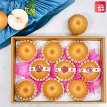 Mall2018 FZ210 명품 신고배선물세트 명절 과일선물세트 8-10과, 1세트