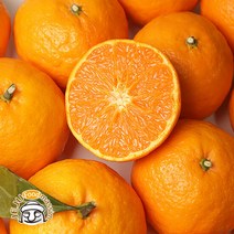 현가원 서귀포 못난이 귤로향 5kg (실속포장 혼합과 실중량), 단품