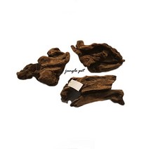 맹그로브 유목 20cm 전후
