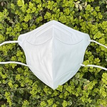 생분해 PLA 친환경 소재 더코리아 지구마스크 새부리형 대형 30매