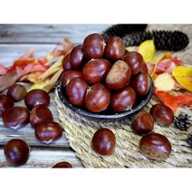 옥광밤/임금님 진상밤/1kg 2kg 4kg, 옥광(대)1kg