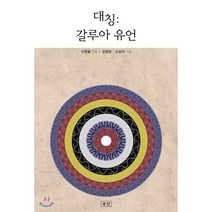 대칭: 갈루아 유언, 승산, 신현용 저/김영관,신실라 그림