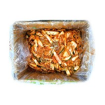 선농원 겉절이 김치 (초숙 / 10kg)
