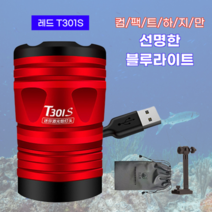 라이엠 중층써치 밤낚시 찌보기 전자케미 해루질용 30W 미니보조집어등, 레드(블루라이트)/낚시상자받침대