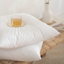 데코뷰 호텔식 구스필 마이크로화이바 쿠션솜 50X50, 구성:단일상품