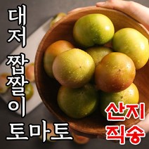 산지직송 부산 대저토마토 단짠 대저 짭짤이 토마토 짭짜리토마토 2.5kg 5kg, 2.대저토마토 중사이즈 5kg
