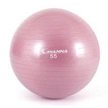 노인 재활프로그램 소형 미끄럼방지 짐볼 어르신운동 기초체력강화 골반교정, 와일드핑크