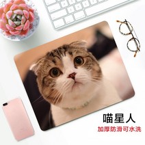 무선충전장패드 컴퓨터 노트북 마우스 매트 패드 광고 제작, 21 야옹성인