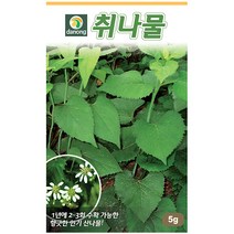다농 쇠무릎 1g - 씨 씨앗 쇠무릎씨앗 쇠무릎씨 우슬초 산형채 대절채 쇠물팍 은실 백배 마청초 나물씨앗 민속채소 채소씨 채소씨앗, 11_다농_취나물(5g)