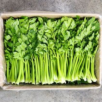 쌈샐러리 1.8kg-2kg