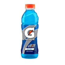 롯데칠성 게토레이 블루, 10개, 600ml