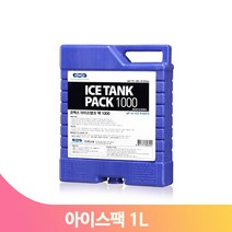 손잡이 아이스박스 보냉팩 1L 탱크팩 냉매 캠핑 야외 휴대용 피크닉 여름
