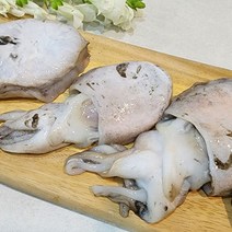 국내산 냉동 갑오징어 1kg, 1개