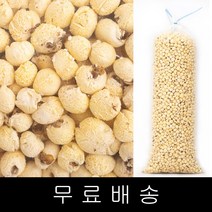 국산팝콘옥수수 인기 순위 TOP50 상품을 소개합니다