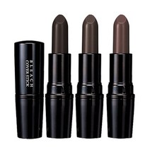 프로랑스 브릿지 새치커버 스틱 20g, 갈색, 1개