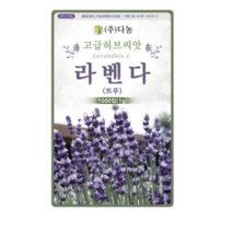 다농 라벤더씨앗 1g, 5팩