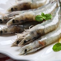 국내산 신안 흰다리새우 생물 생새우 대하 활새우 1kg 25미 33미 당일조업, 신안 흰다리새우 1kg (25미 내외), 1개