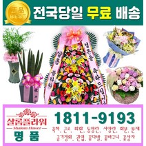 전국꽃배달서비스추천 와이프생일선물 생일축하꽃배달 생일꽃배달서비스 꽃퀵배송 개업식화분종류 탄생화선물 여름꽃 가을꽃 생화구매 생화판매 생화주문 파란장미 생화택배 향기뿜뿜, 2.근조3단