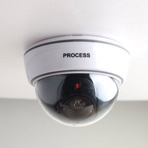 BIGHOS 위장 CCTV 현관문 모형 카메라 방범용 시골집 식당용
