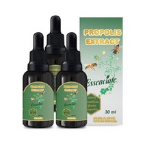 [유통기한 2024-03-09]브라질 그린 프로폴리스 추출물 3병 90ml, 단품