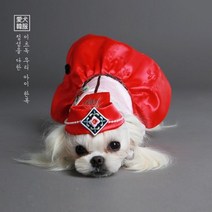 윤슬 공주한복 -인증