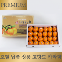 [16brix 이상] 고당도 프리미엄 제주 효돈 카라향, 카라향 1kg 맛보기 에어백포장, 1개