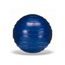 투창연습공(실내용) 육상 투창던지기 학교용-52370EA, 골드하우스 본상품선택