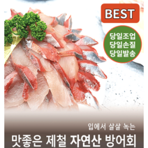 활방어회 국내산 자연산 방어회 당일조업 당일손질 당일발송, 손질후 500g(내외)+500g(내외)