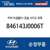 커버 어셈블리-콘솔 사이드 좌측 (846143J0006T) 베라크루즈