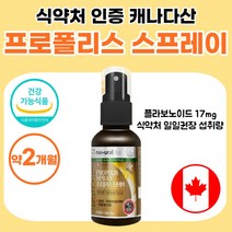 어린이 프로폴리스 스프레이 캐나다 직수입 식약처 기능성 인정 포르폴리스 프로플리스 프로포리스 여성 남자 선물 액상 플라보노이드 17mg 청소년 부모님 키즈 유아 50대 약 1개월분, 30ml x 2개 (약 2개월분)