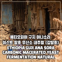 (커피생두) 264 에티오피아 구지 아나소라 이스트 발효 무산소 내추럴 1kg