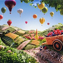 1000피스 퍼즐 과일과 야채나라 (RA19166), 코코제이슨 본상품선택, 코코제이슨 1, 코코제이슨 본상품선택