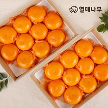 [열매나무]천혜향 3kg[10~13과] 2박스, 단품