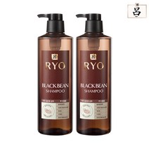 2개)려 파주검은콩 샴푸 뿌리볼륨케어 800ml, 선택없음