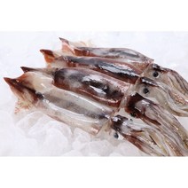 [ M-Fam seafood ] 구룡포 총알 오징어 1kg (8-12미 내외) 어획 후 급냉한 싱싱한 국내산 오징어