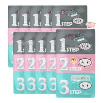 홀리카 피그노즈 클리어 블랙헤드 코팩 3-step 10매, 10개, 1개
